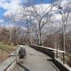 [Update] Unbeknownst To Residents, Inwood Park Surveillance Camera Only Records Four Hours A Day
